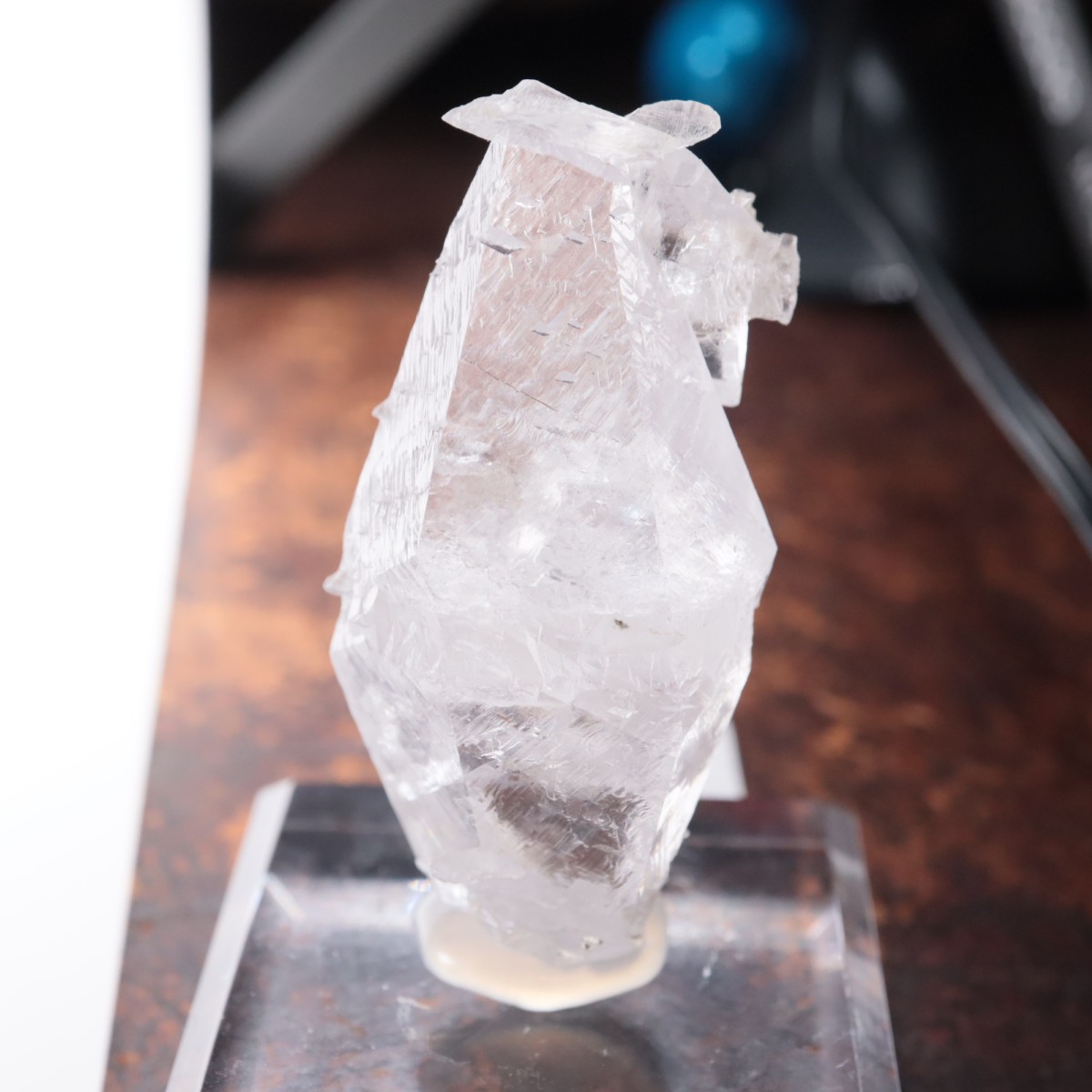 ����ͥ��륹���� ���륵����