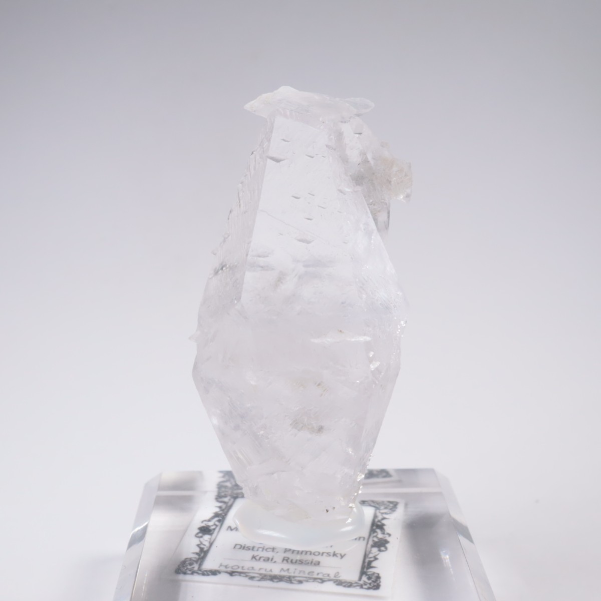 ����ͥ��륹���� ���륵����