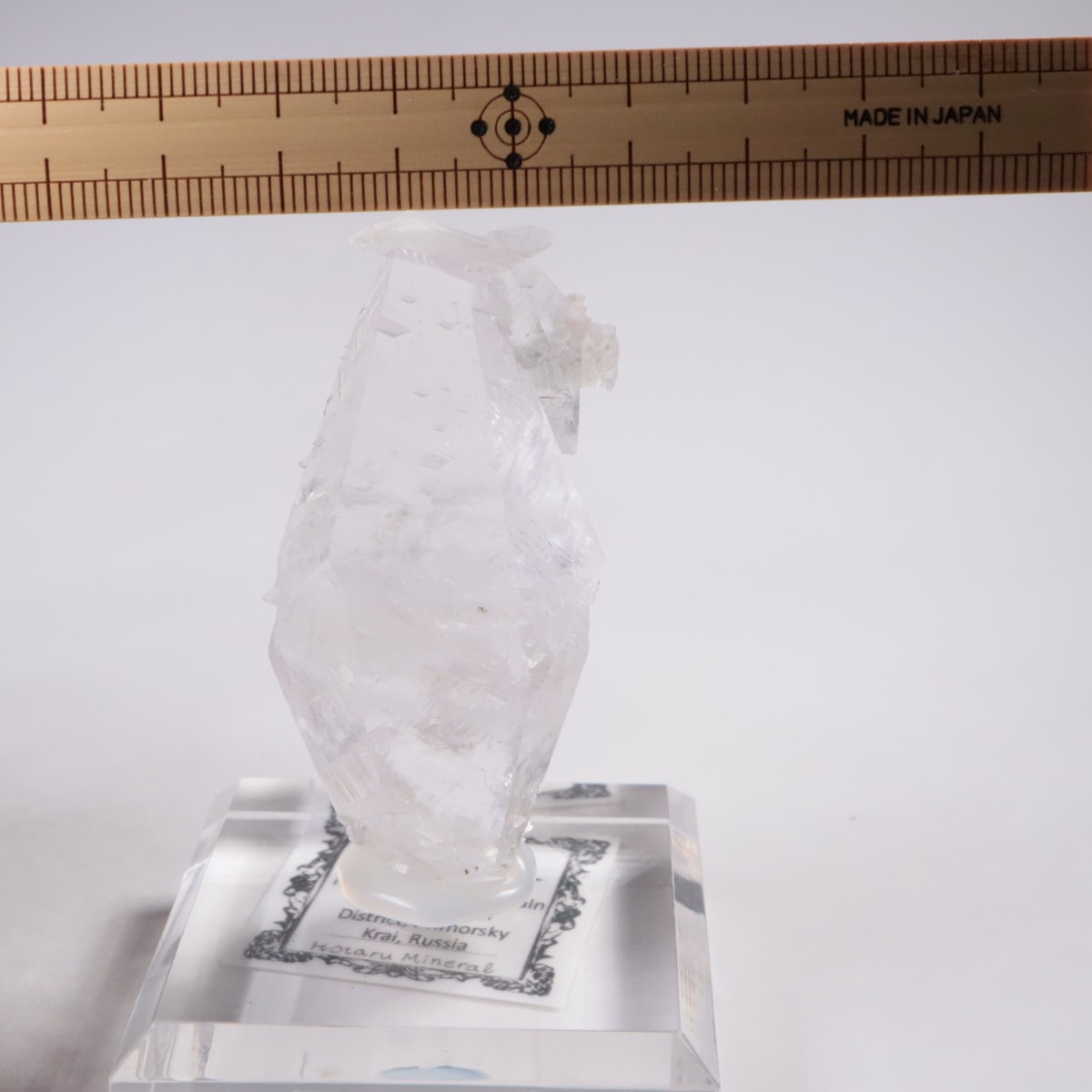 ����ͥ��륹���� ���륵����