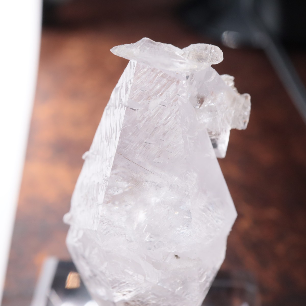 ����ͥ��륹���� ���륵����