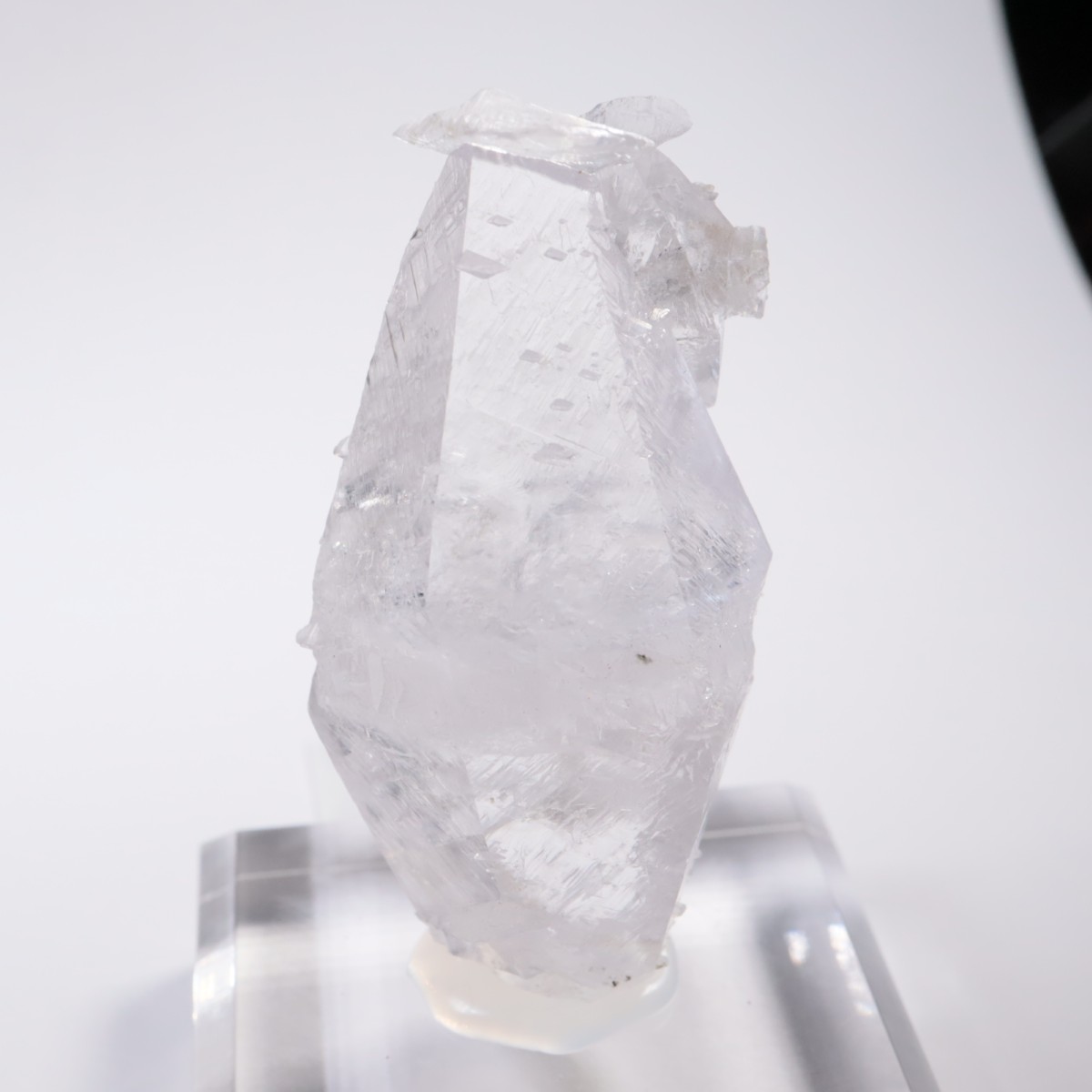 ����ͥ��륹���� ���륵����