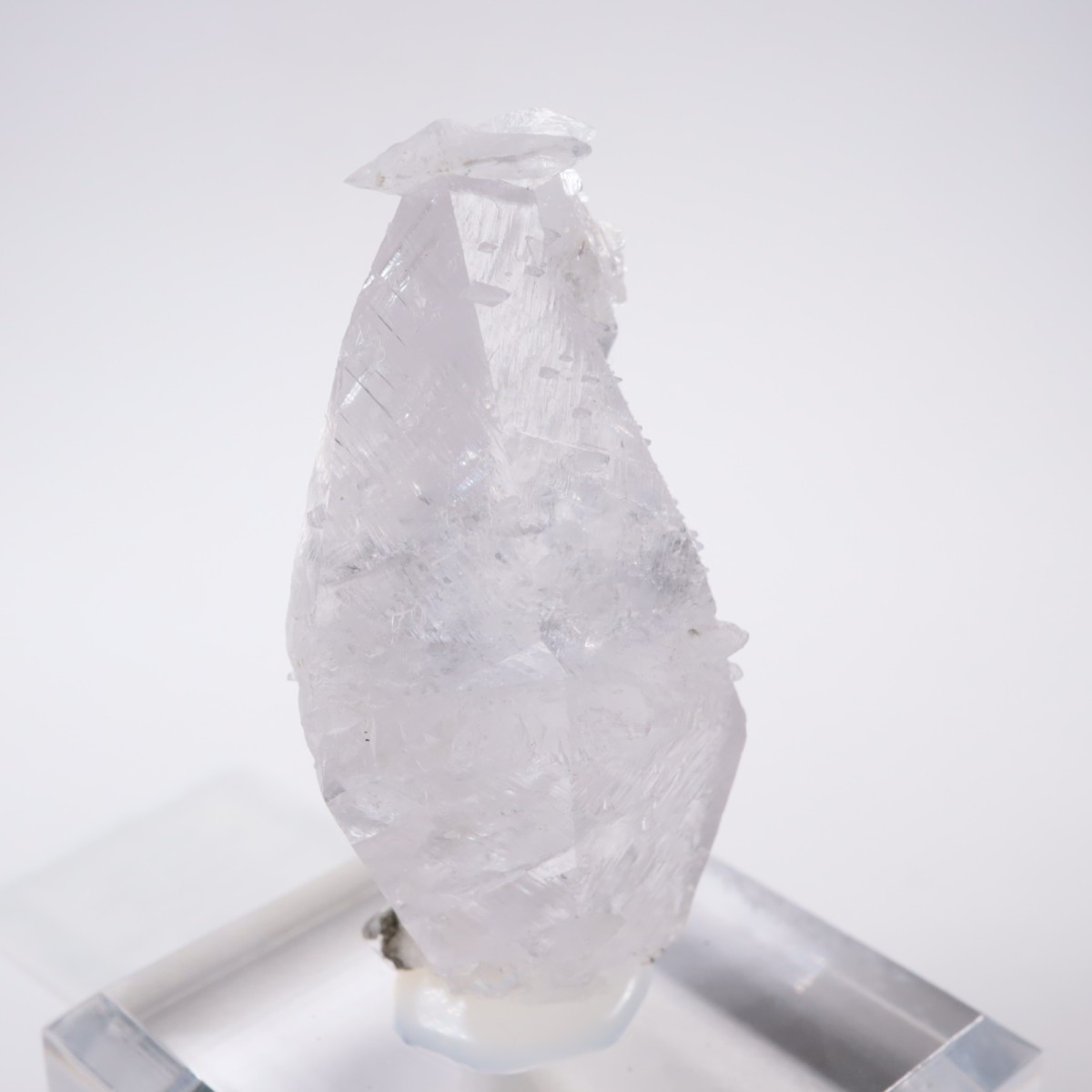 ����ͥ��륹���� ���륵����