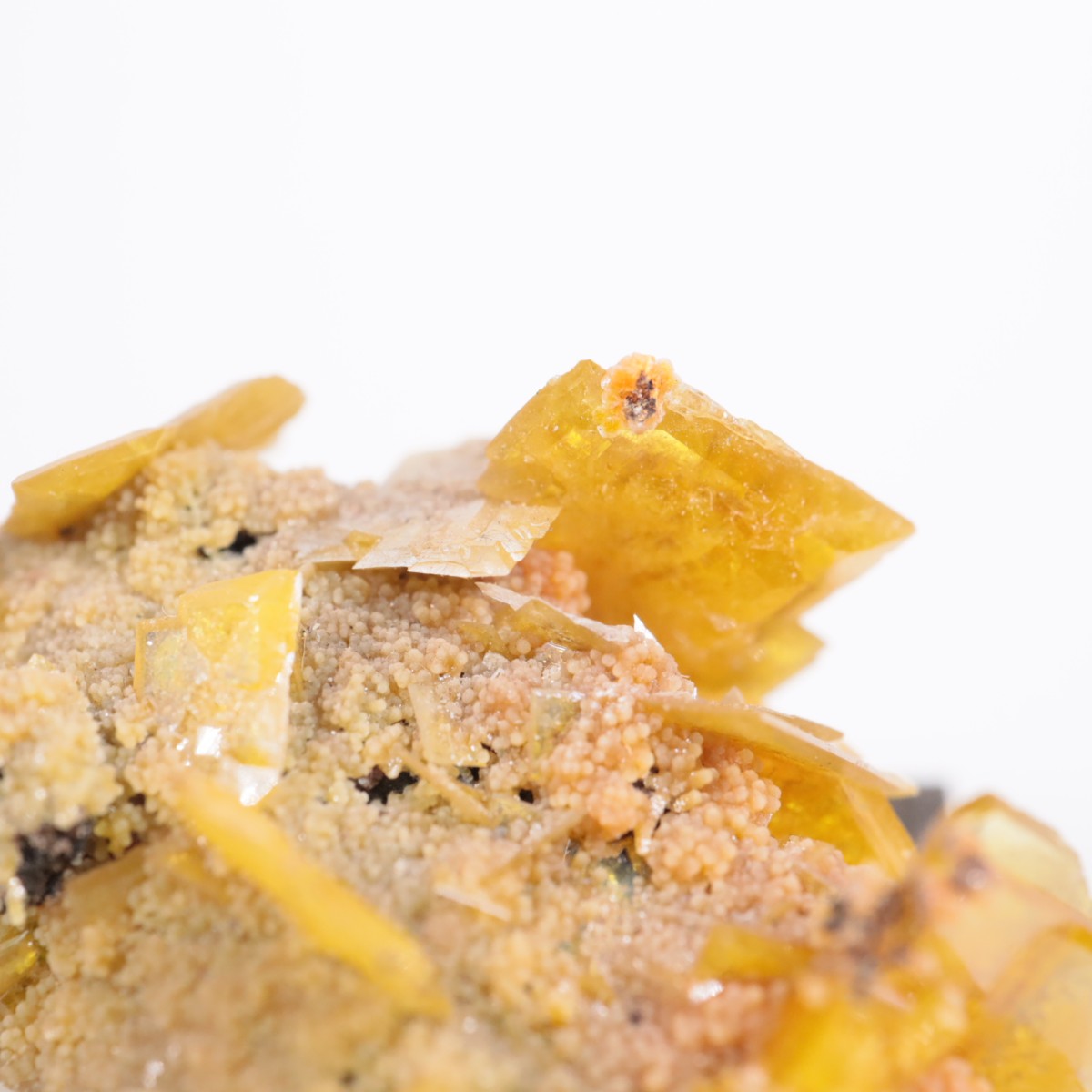 San Francisco�ۻ� ����ե��ʥ���