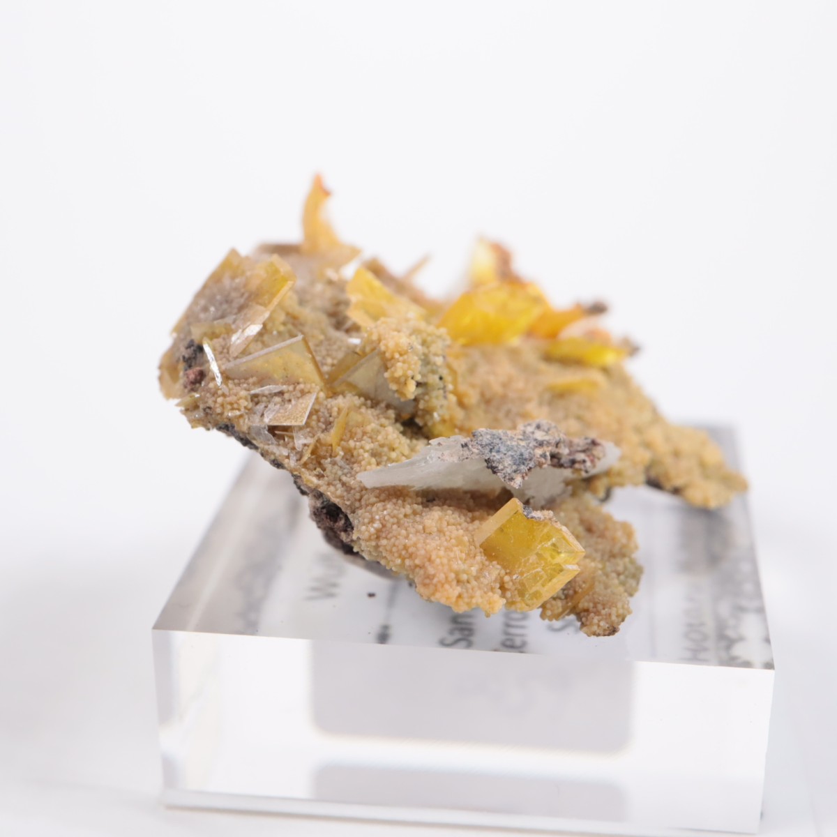 San Francisco�ۻ� ����ե��ʥ���