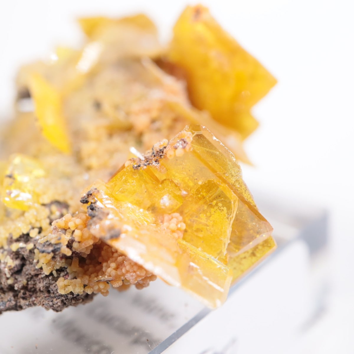 San Francisco�ۻ� ����ե��ʥ���