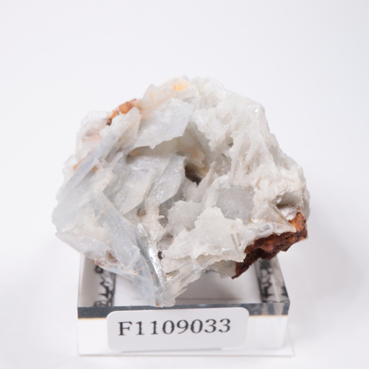 ���ڥ��� �Х饤��