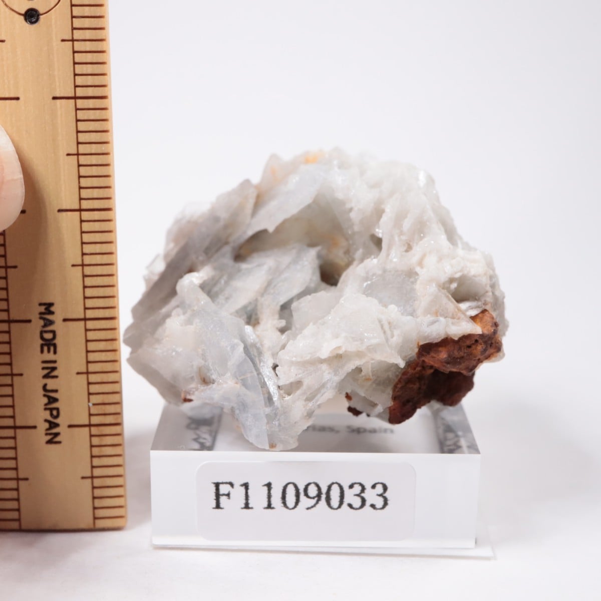 ���ڥ��� �Х饤��