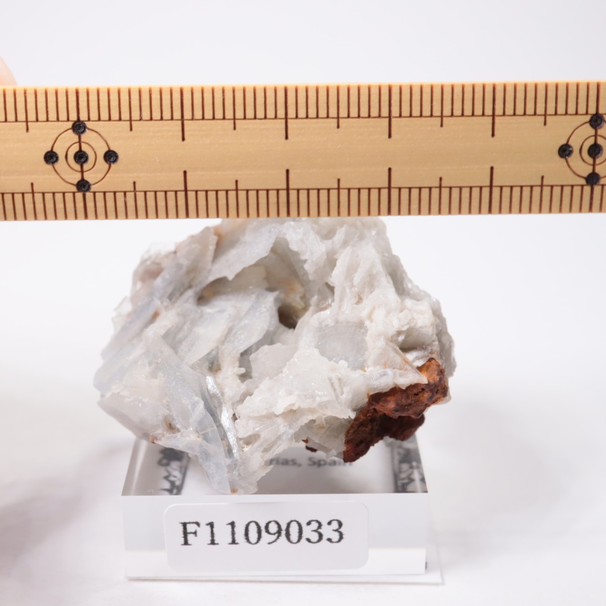 ���ڥ��� �Х饤��