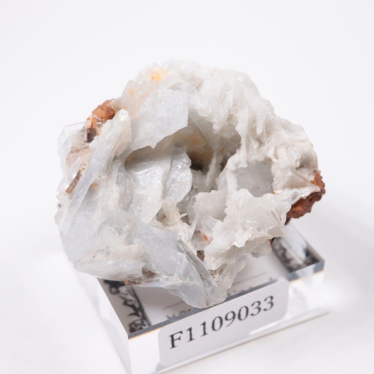 ���ڥ��� �Х饤��