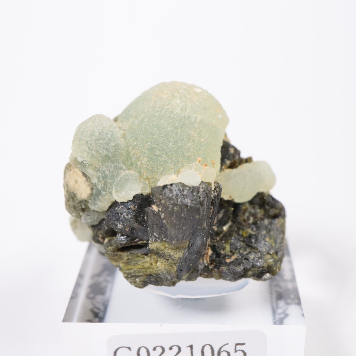 �ޥ껺 �ץ�ʥ��ȡ����ԥɡ���