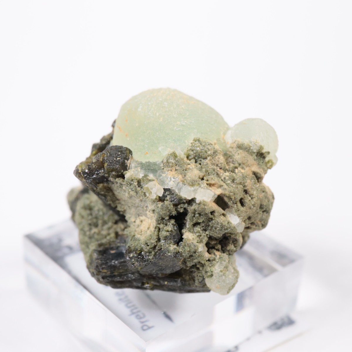 �ޥ껺 �ץ�ʥ��ȡ����ԥɡ���