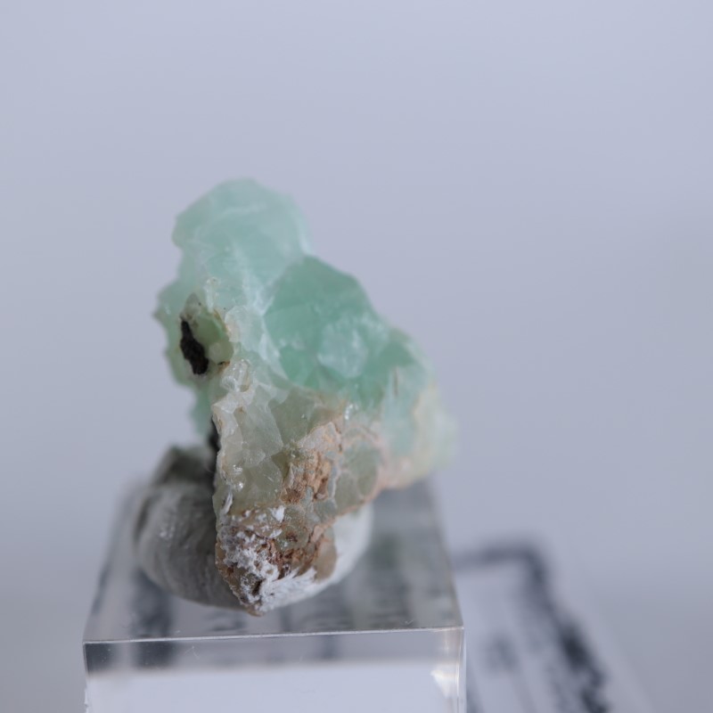 Blanchard�ۻ������ߥ��ʥ���