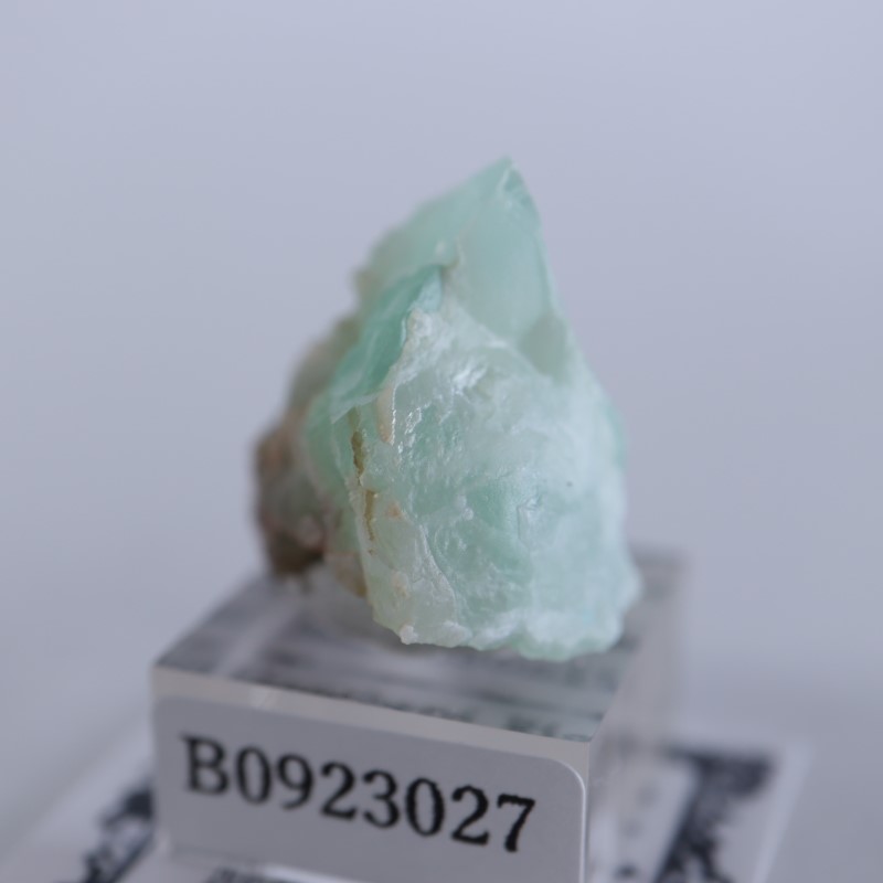 Blanchard�ۻ������ߥ��ʥ���