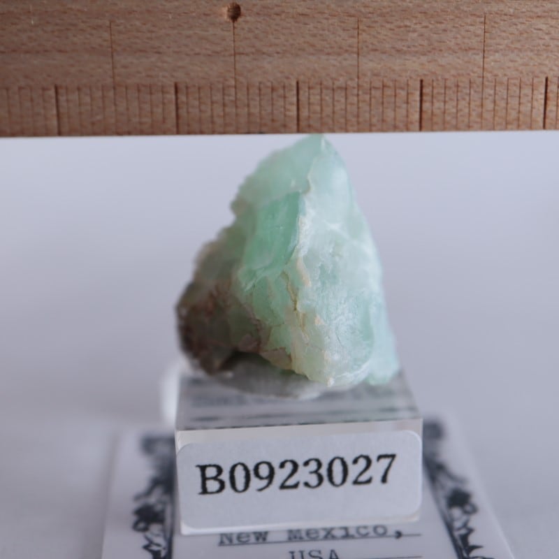 Blanchard�ۻ������ߥ��ʥ���