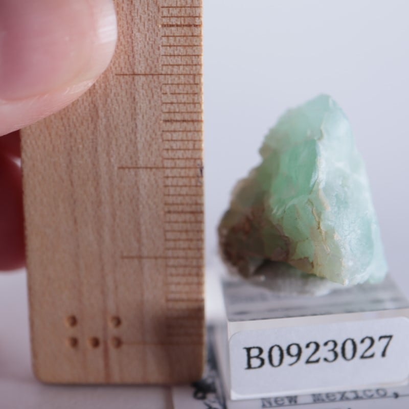 Blanchard�ۻ������ߥ��ʥ���