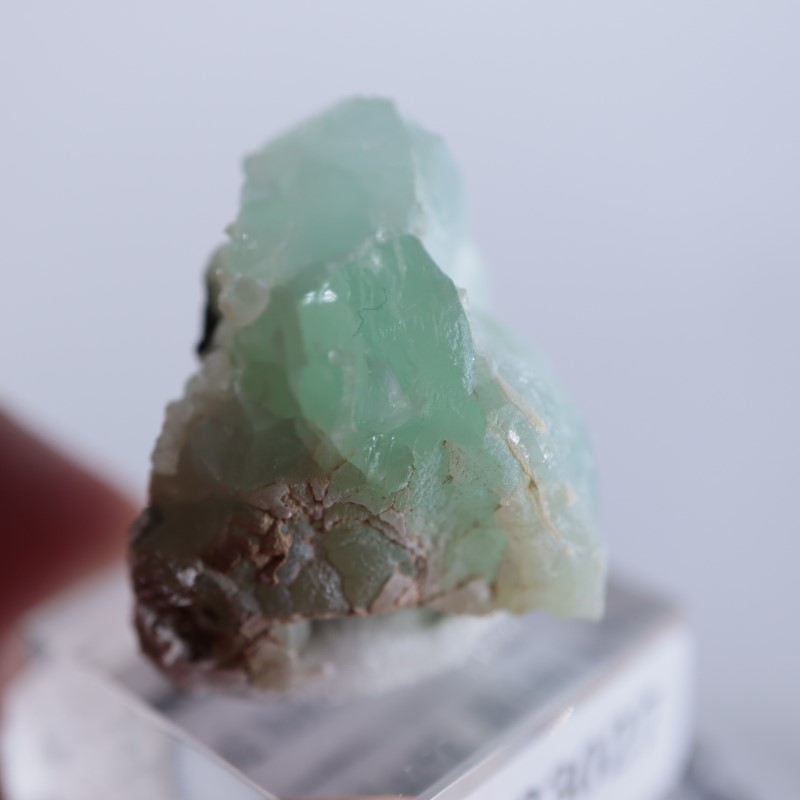 Blanchard�ۻ������ߥ��ʥ���