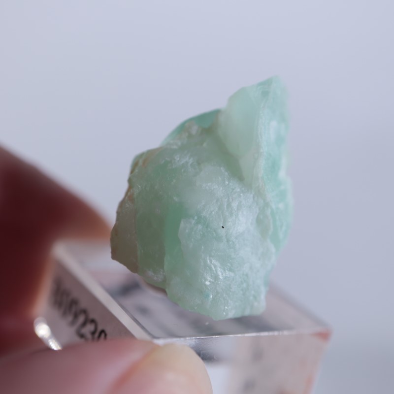 Blanchard�ۻ������ߥ��ʥ���