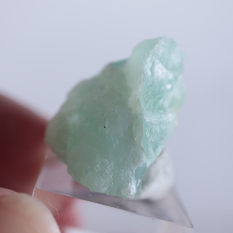 Blanchard�ۻ������ߥ��ʥ���