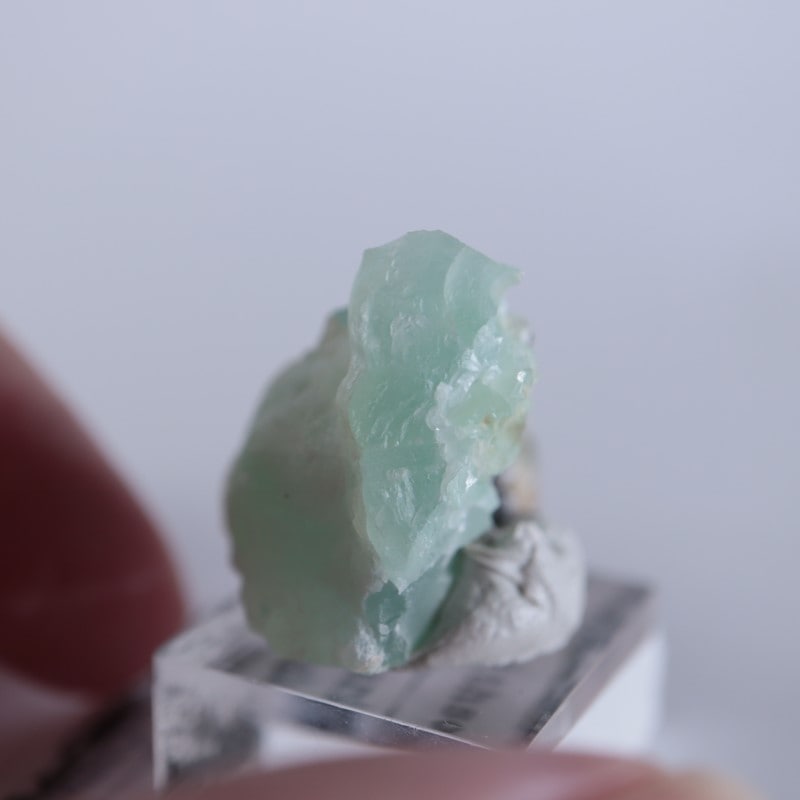 Blanchard�ۻ������ߥ��ʥ���