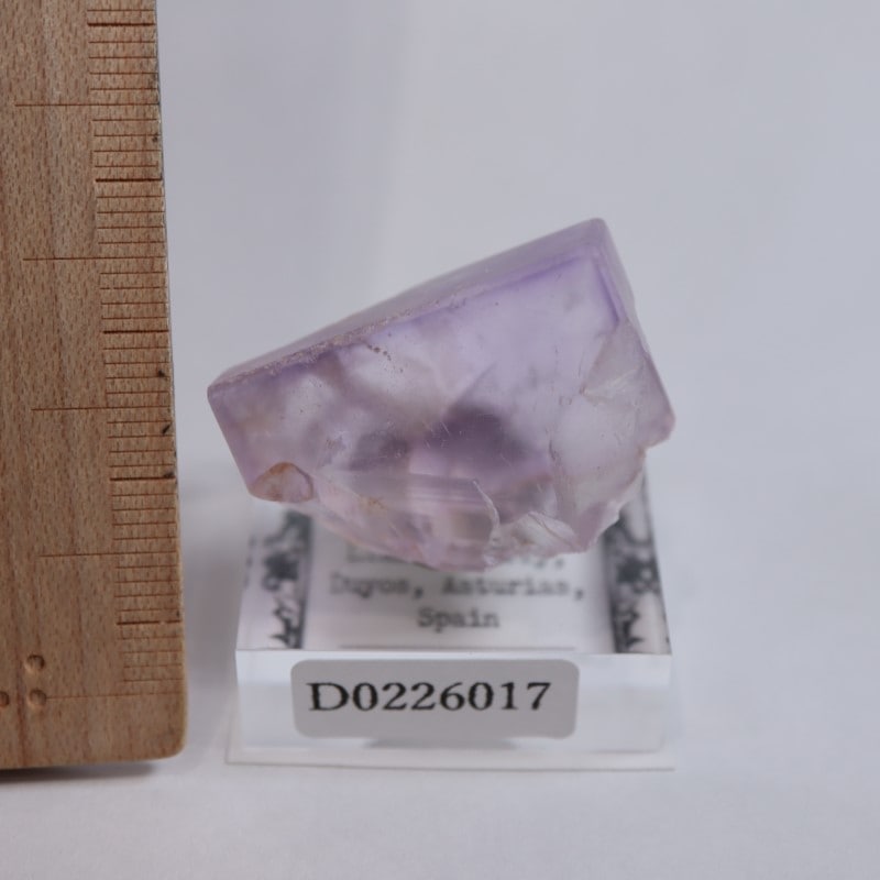 Llamas Quarry�����ե����饤��