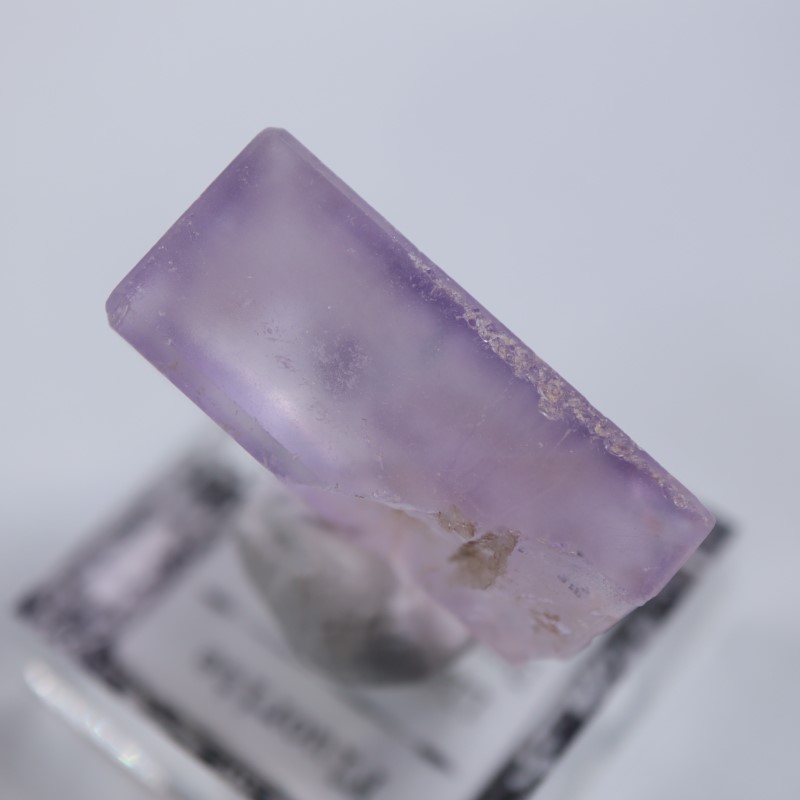 Llamas Quarry�����ե����饤��