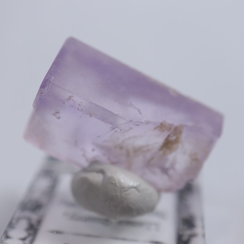 Llamas Quarry�����ե����饤��