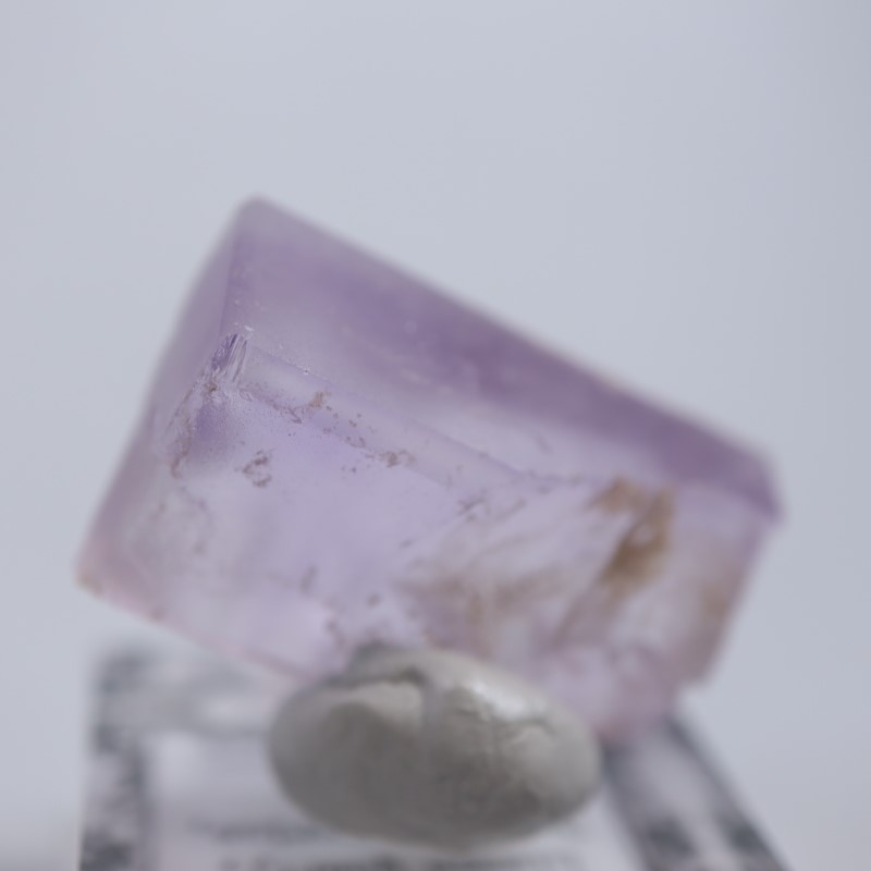 Llamas Quarry�����ե����饤��