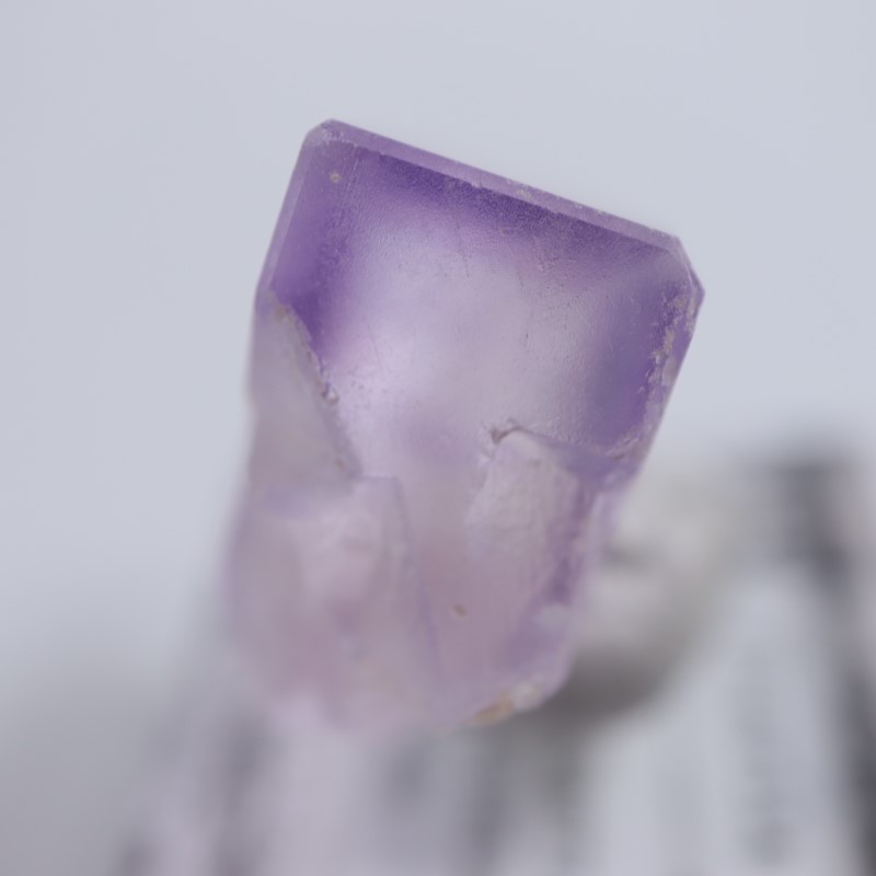 Llamas Quarry�����ե����饤��