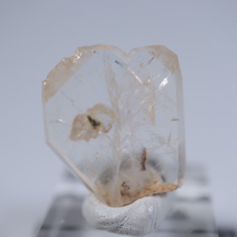 10_000000006461.jpg?1700739011