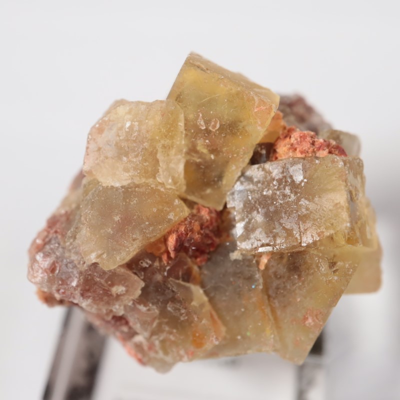 El Hammam�ۻ����ե����饤��