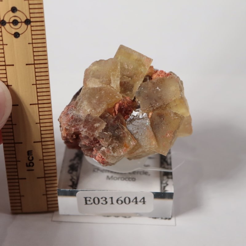 El Hammam�ۻ����ե����饤��