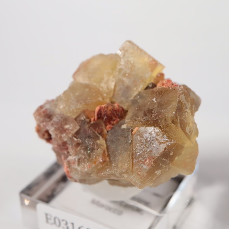 El Hammam�ۻ����ե����饤��