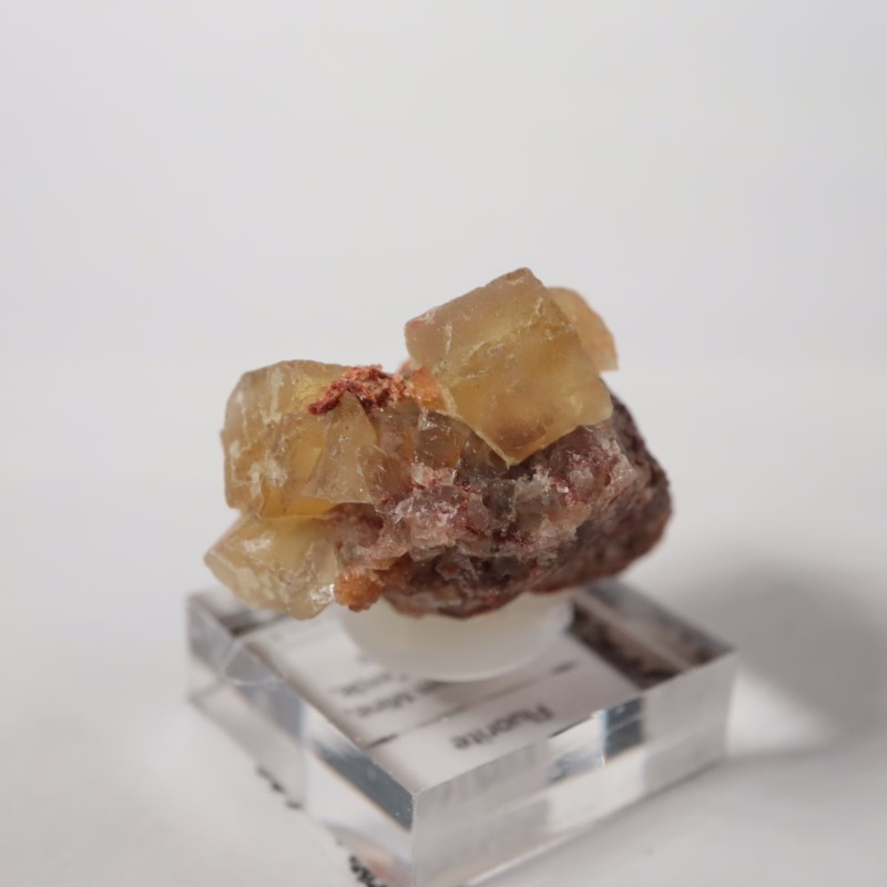 El Hammam�ۻ����ե����饤��