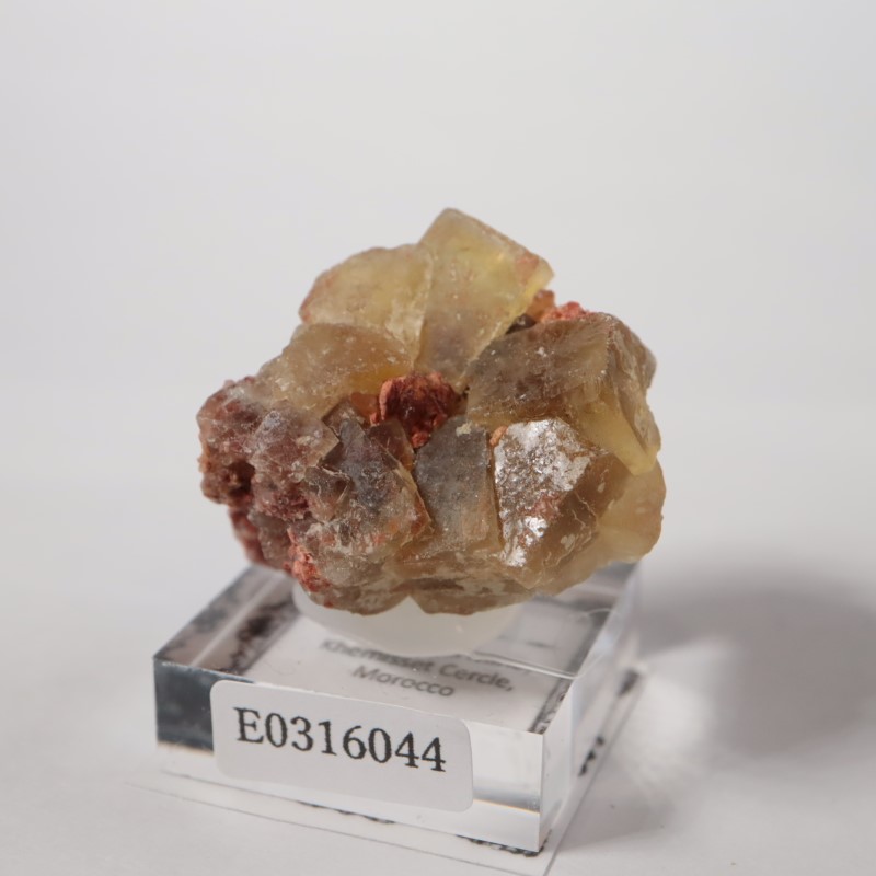 El Hammam�ۻ����ե����饤��