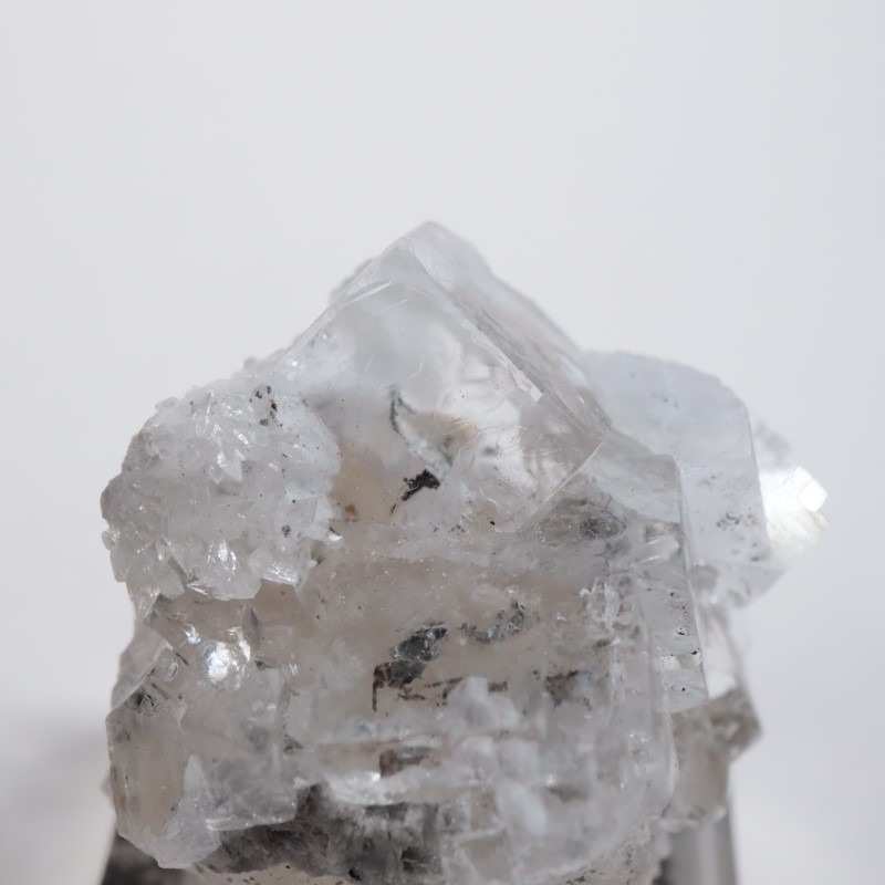 ���ߥꥪ�ۻ����ե����饤��