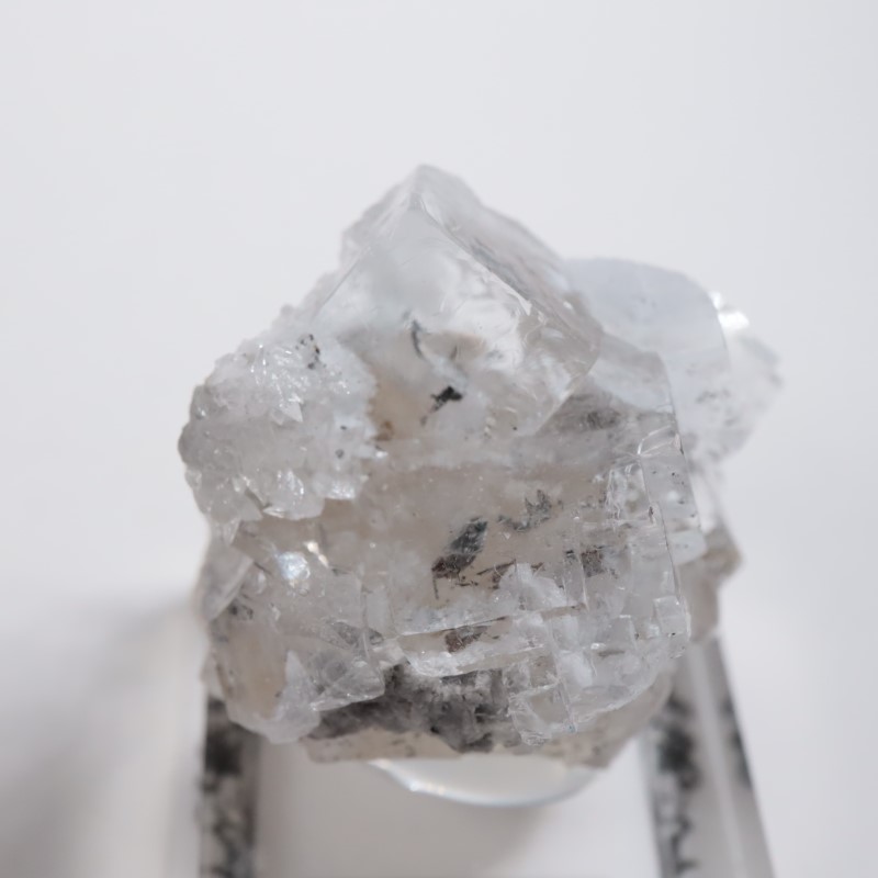 ���ߥꥪ�ۻ����ե����饤��