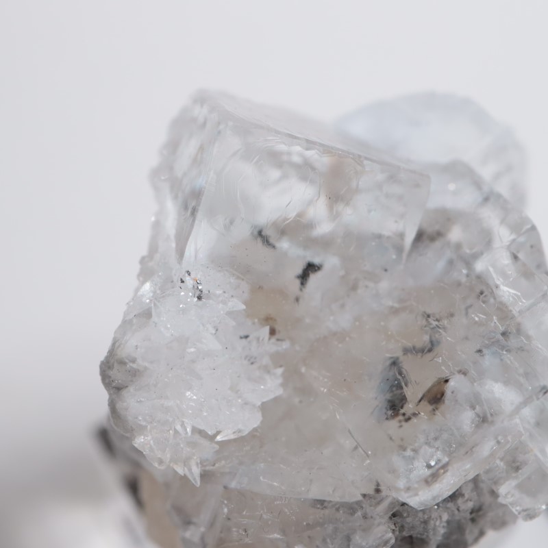 ���ߥꥪ�ۻ����ե����饤��