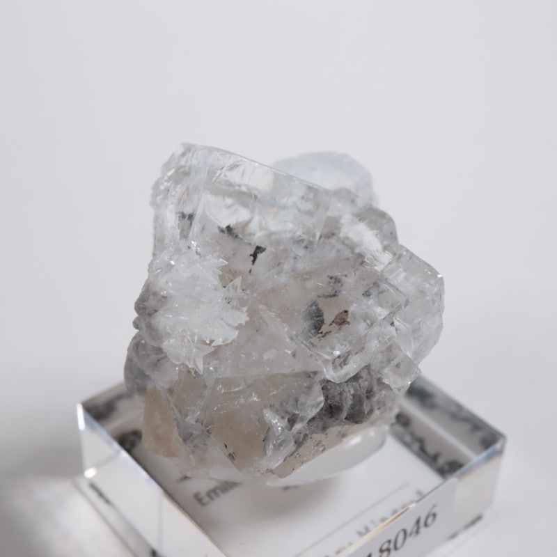 ���ߥꥪ�ۻ����ե����饤��