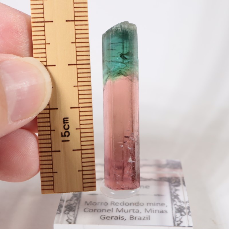 Morro Redondo鉱山 トルマリン | 鉱物標本,タ行,トルマリン/電気石