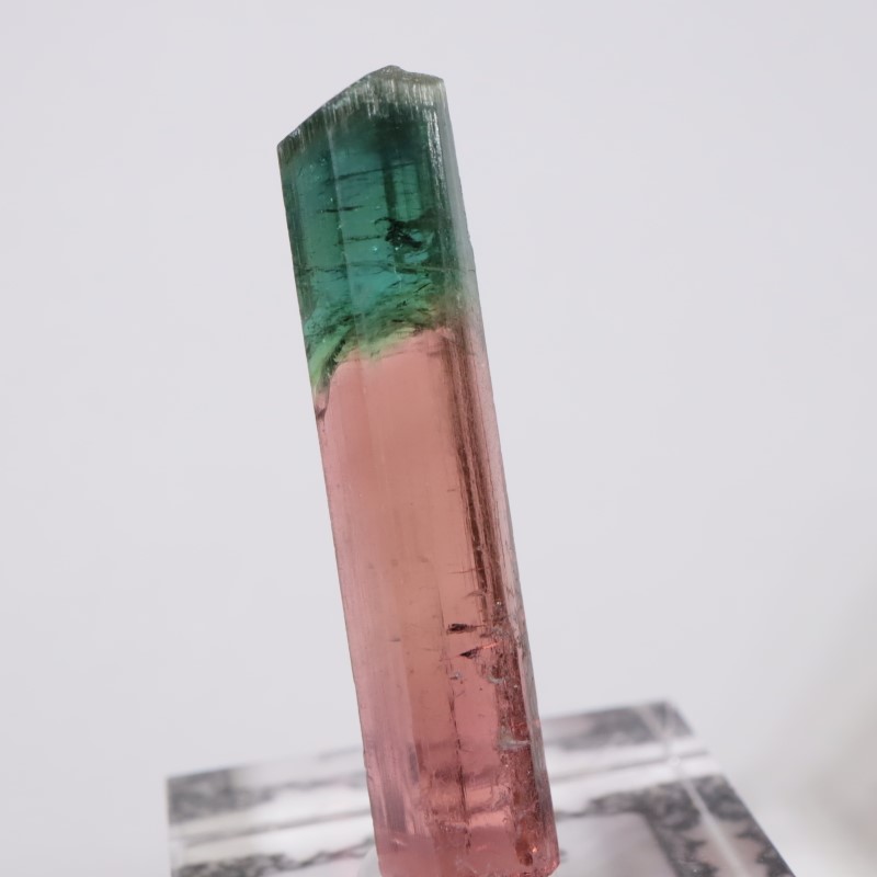 Morro Redondo鉱山 トルマリン | 鉱物標本,タ行,トルマリン/電気石