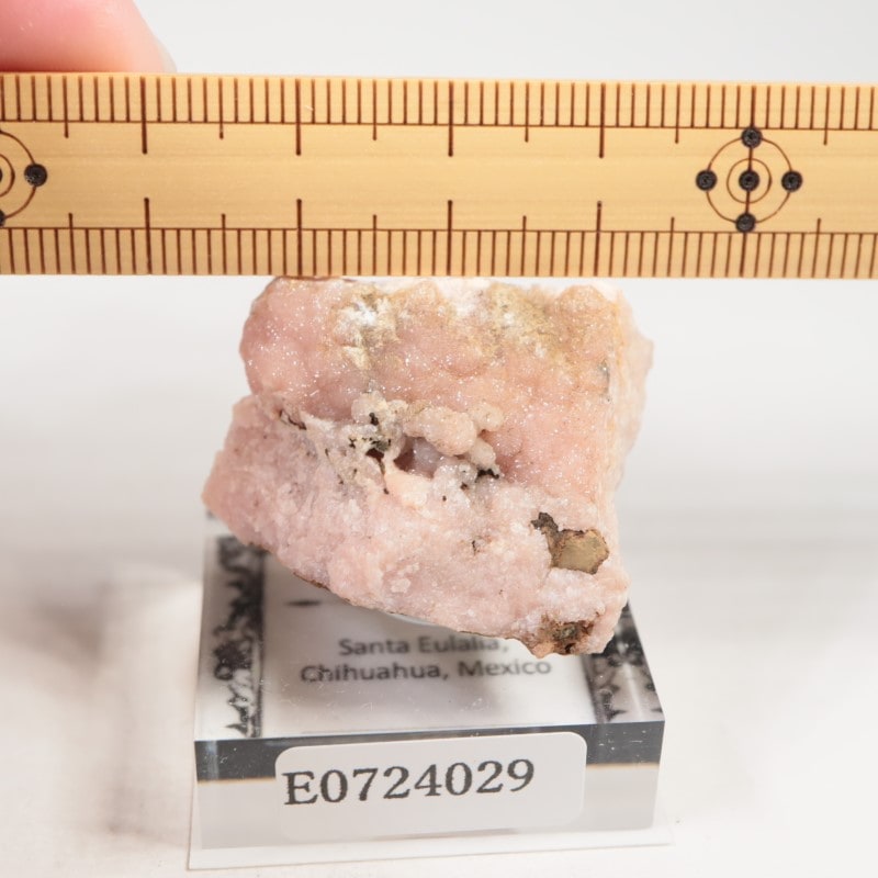 �ᥭ�������������ɥ���������