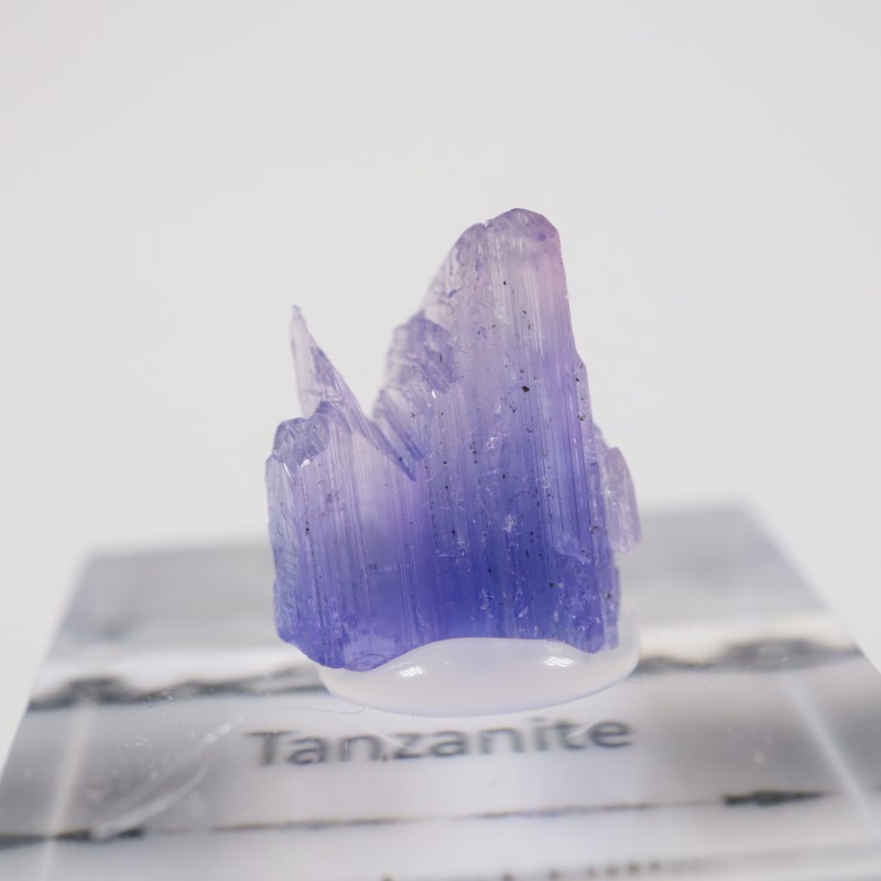 ����˥ҥ륺�� ���󥶥ʥ���