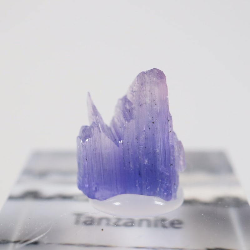 ����˥ҥ륺�� ���󥶥ʥ���