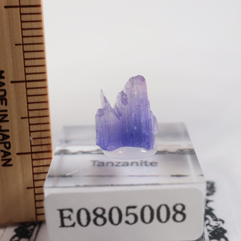 ����˥ҥ륺�� ���󥶥ʥ���