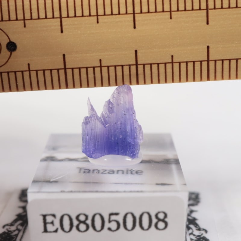 ����˥ҥ륺�� ���󥶥ʥ���