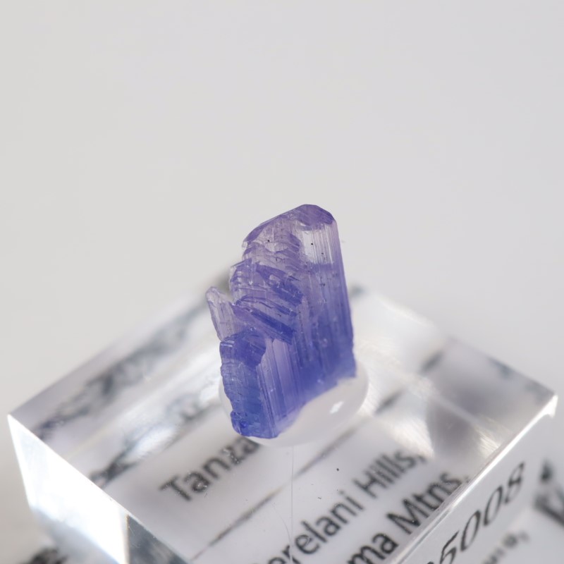 ����˥ҥ륺�� ���󥶥ʥ���