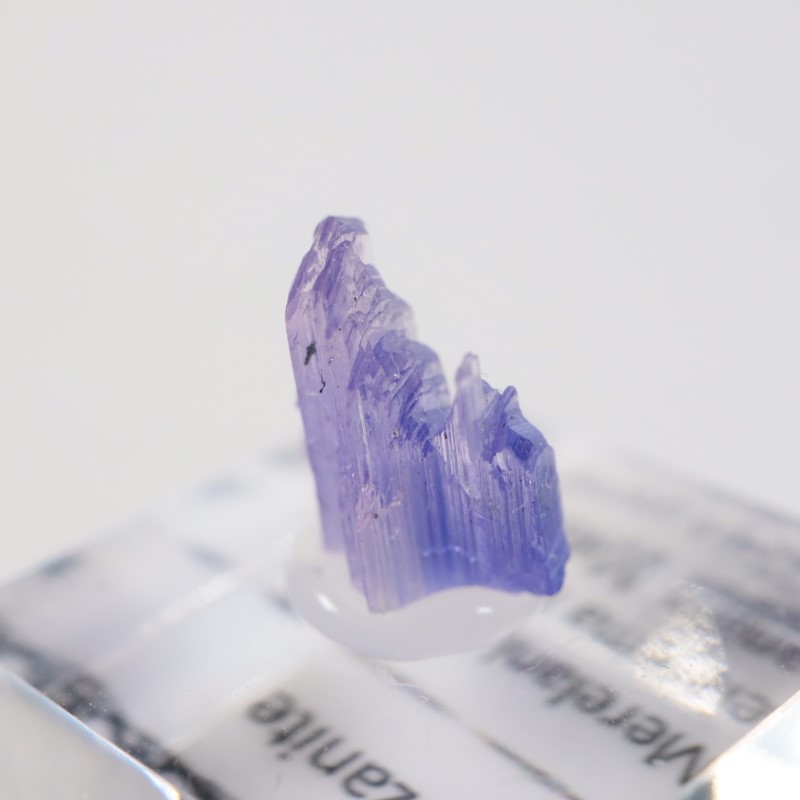 ����˥ҥ륺�� ���󥶥ʥ���