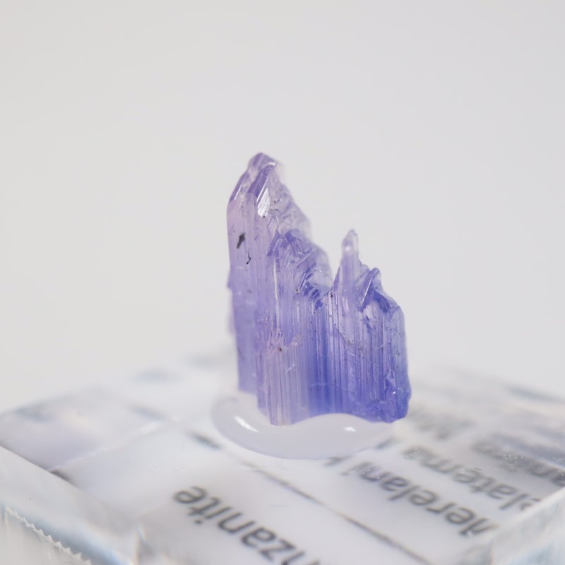 ����˥ҥ륺�� ���󥶥ʥ���