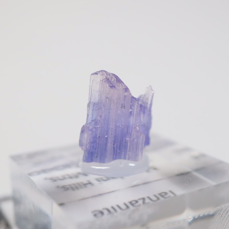 ����˥ҥ륺�� ���󥶥ʥ���