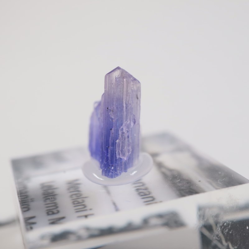 ����˥ҥ륺�� ���󥶥ʥ���